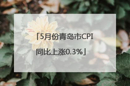 5月份青岛市CPI同比上涨0.3%