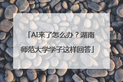 AI来了怎么办？湖南师范大学学子这样回答