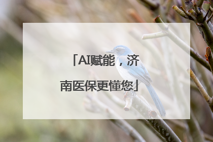 AI赋能，济南医保更懂您