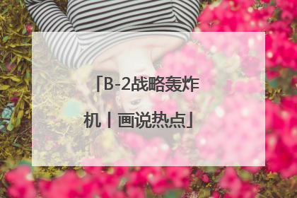 B-2战略轰炸机丨画说热点