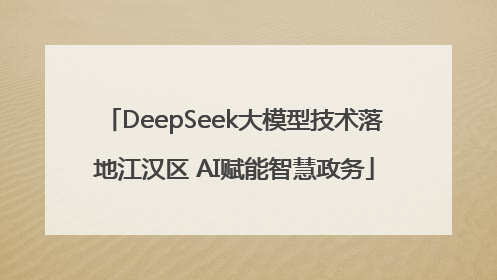 DeepSeek大模型技术落地江汉区 AI赋能智慧政务