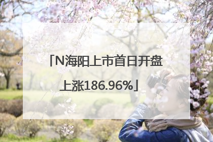 N海阳上市首日开盘上涨186.96%